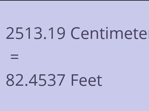 2513.19 CM TO FEET