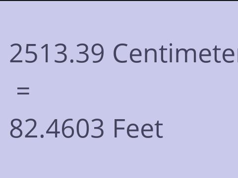 2513.39 CM TO FEET
