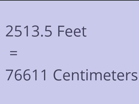 2513.5 FEET TO CM