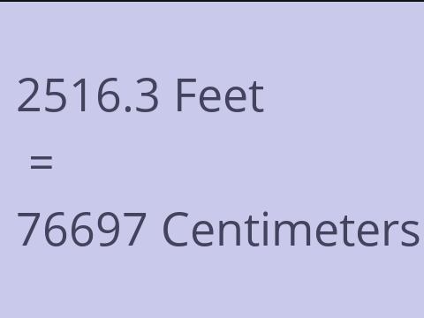 2516.3 FEET TO CM