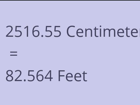 2516.55 CM TO FEET