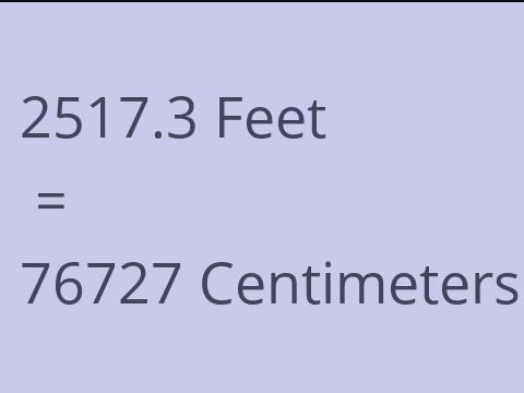 2517.3 FEET TO CM