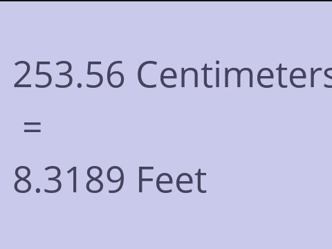 253.56 CM TO FEET