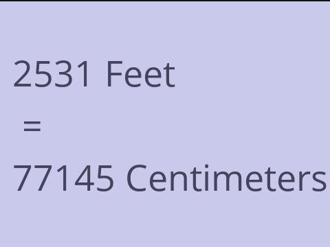 2531 FEET TO CM