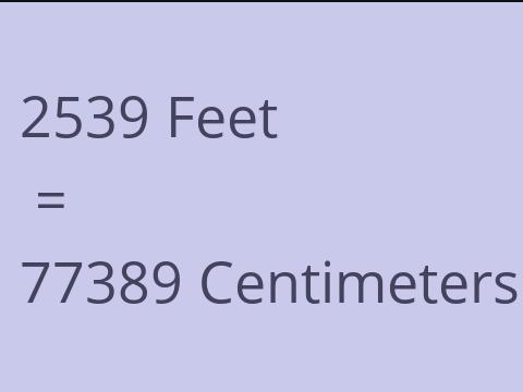 2539 FEET TO CM