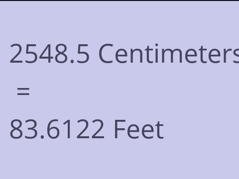 2548.5 CM TO FEET