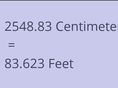2548.83 CM TO FEET