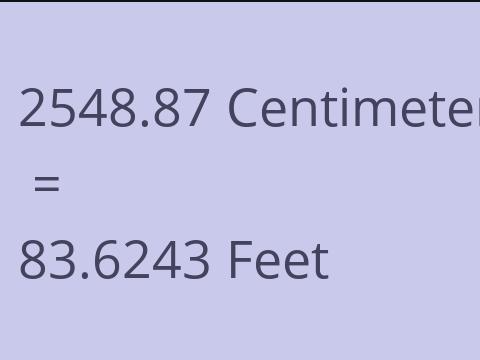 2548.87 CM TO FEET