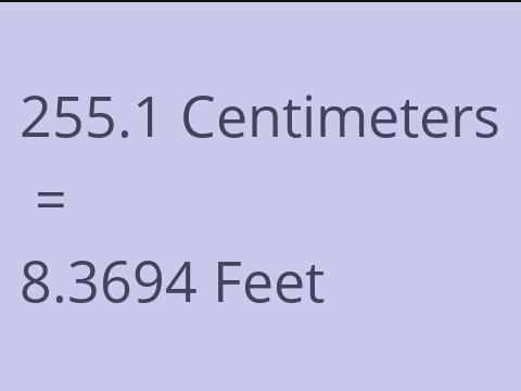 255.1 CM TO FEET