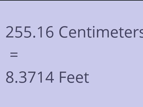 255.16 CM TO FEET