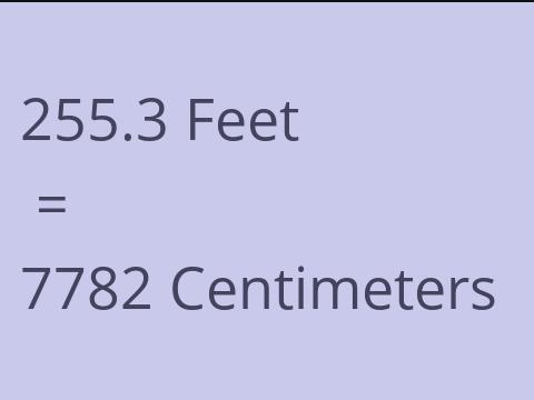 255.3 FEET TO CM