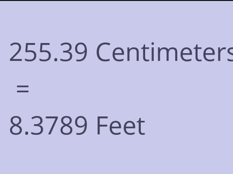 255.39 CM TO FEET