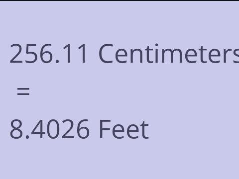 256.11 CM TO FEET