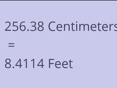 256.38 CM TO FEET