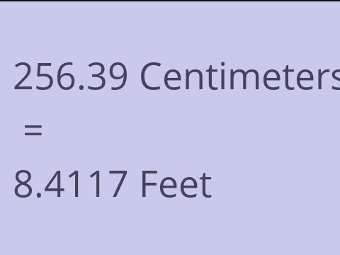 256.39 CM TO FEET