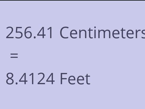 256.41 CM TO FEET