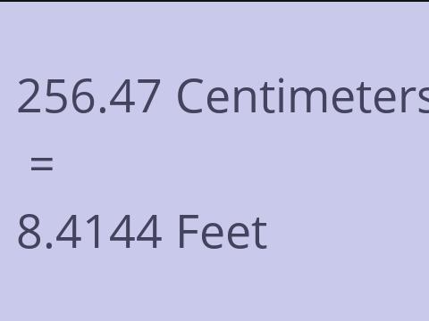 256.47 CM TO FEET