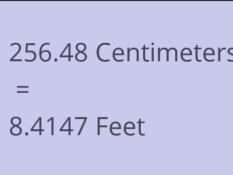 256.48 CM TO FEET