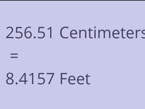 256.51 CM TO FEET