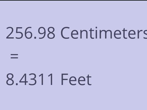 256.98 CM TO FEET