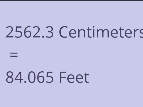 2562.3 CM TO FEET