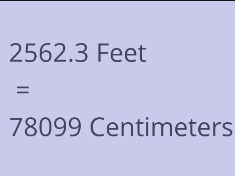 2562.3 FEET TO CM