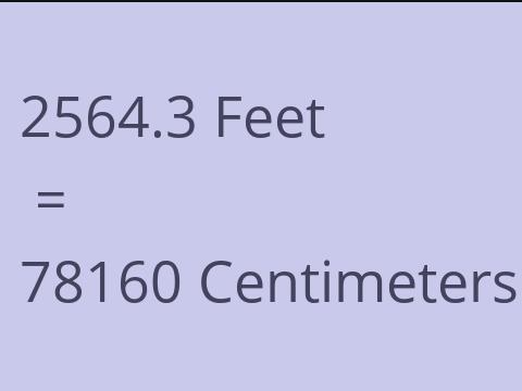 2564.3 FEET TO CM