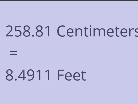 258.81 CM TO FEET