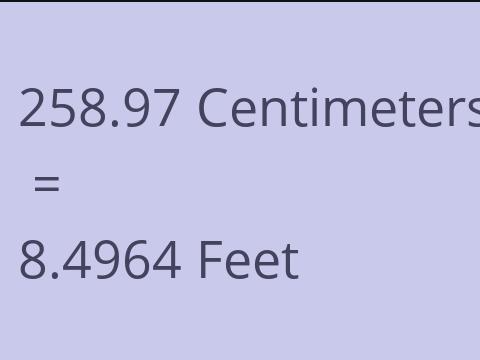 258.97 CM TO FEET