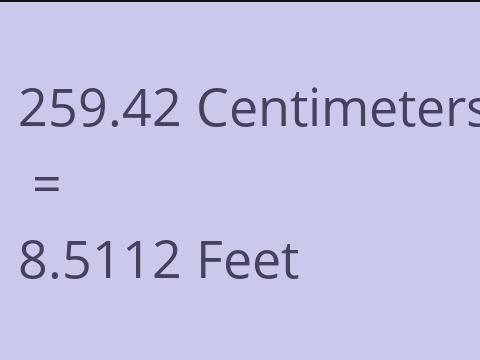 259.42 CM TO FEET