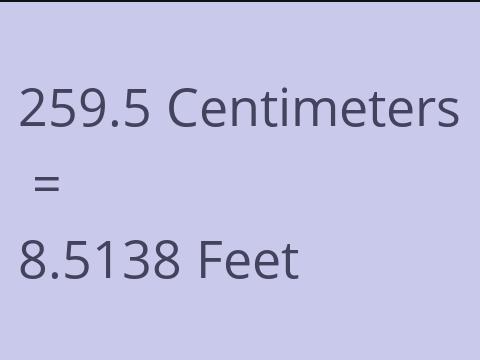 259.5 CM TO FEET