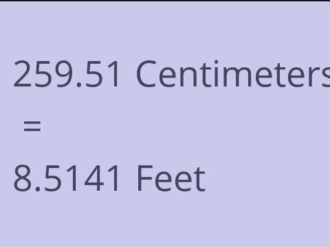 259.51 CM TO FEET