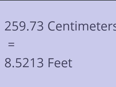 259.73 CM TO FEET