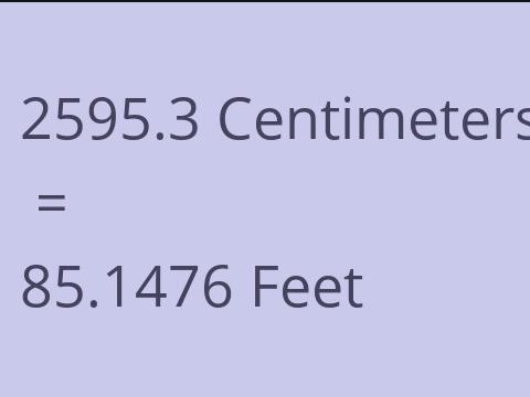 2595.3 CM TO FEET