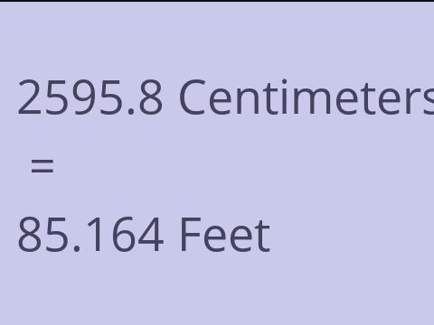 2595.8 CM TO FEET