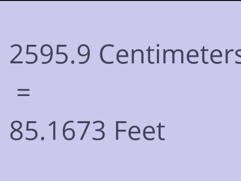 2595.9 CM TO FEET