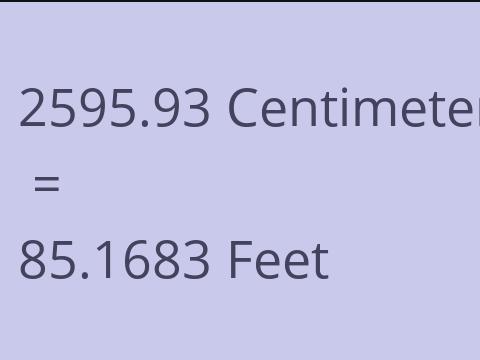 2595.93 CM TO FEET