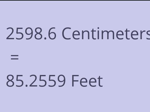 2598.6 CM TO FEET