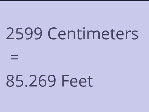 2599 CM TO FEET