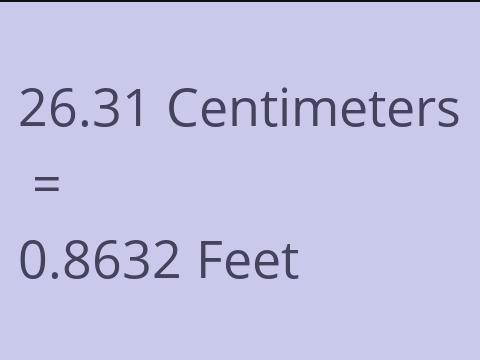 26.31 CM TO FEET