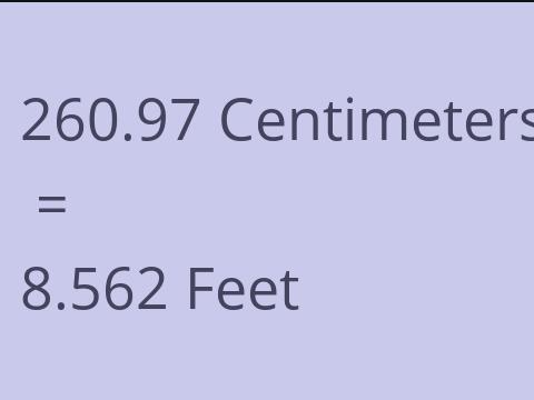 260.97 CM TO FEET