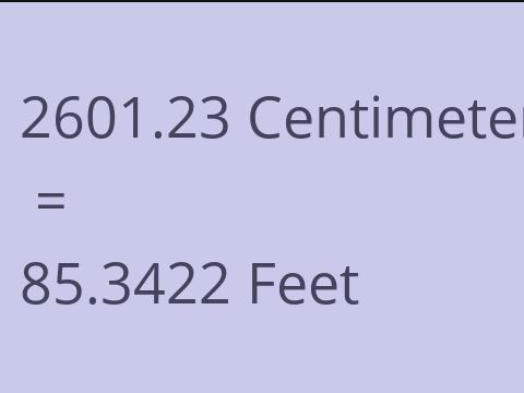 2601.23 CM TO FEET