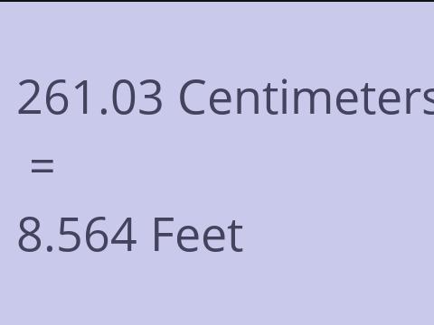 261.03 CM TO FEET