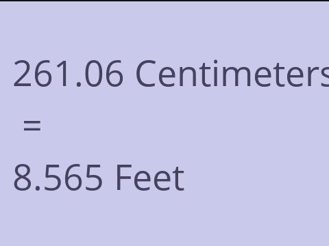 261.06 CM TO FEET