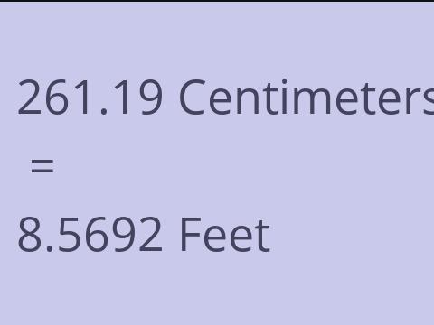 261.19 CM TO FEET