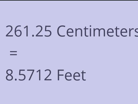 261.25 CM TO FEET