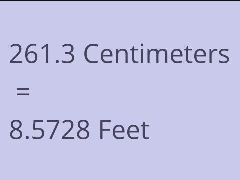 261.3 CM TO FEET