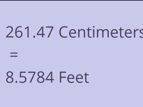 261.47 CM TO FEET