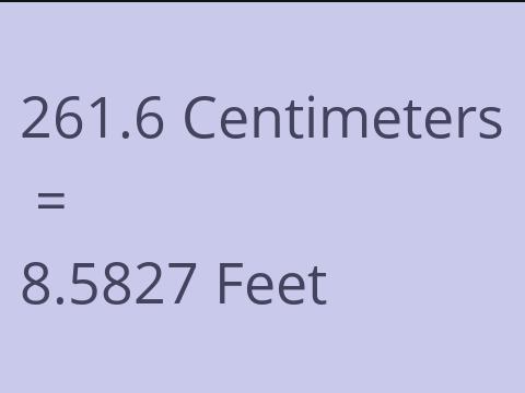 261.6 CM TO FEET