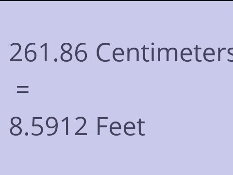 261.86 CM TO FEET